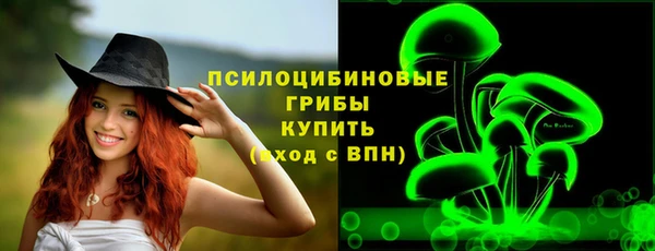 дмт Белая Холуница