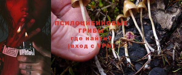 гидропоника Медногорск